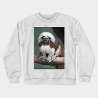 Cotton-top Tamarin Crewneck Sweatshirt